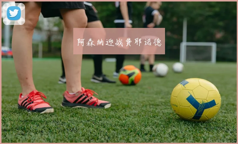 阿森纳迎战费耶诺德