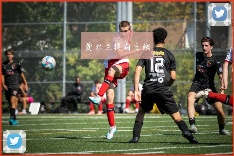 爱尔兰提前出线