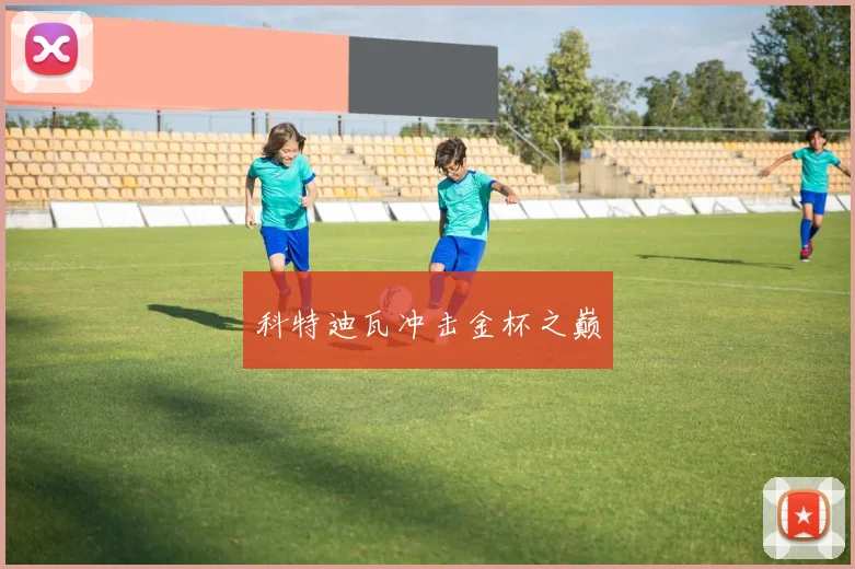 科特迪瓦冲击金杯之巅