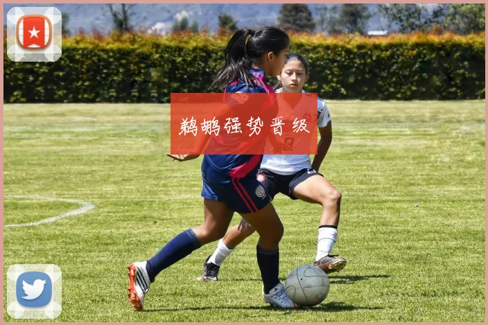 鹈鹕强势晋级