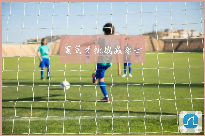 葡萄牙挑战威尔士