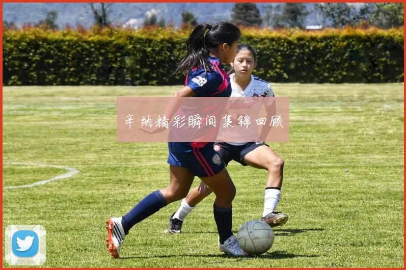 辛纳精彩瞬间集锦回顾