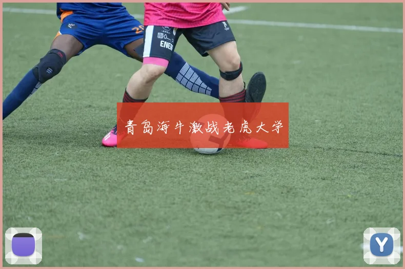 青岛海牛激战老虎大学