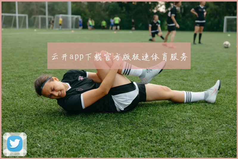云开app下载官方版极速体育服务