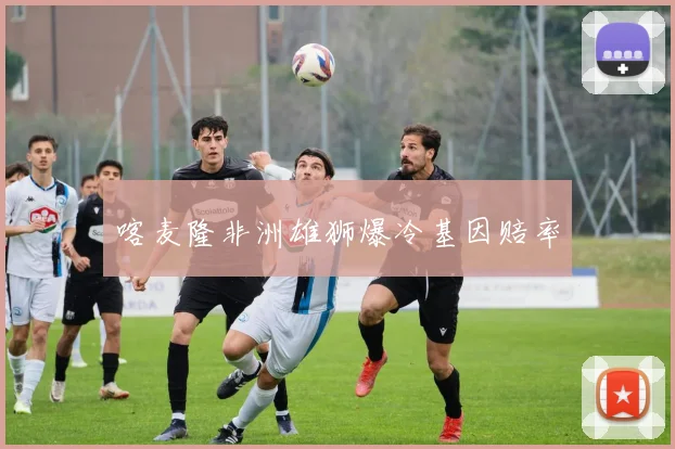 喀麦隆非洲雄狮爆冷基因赔率