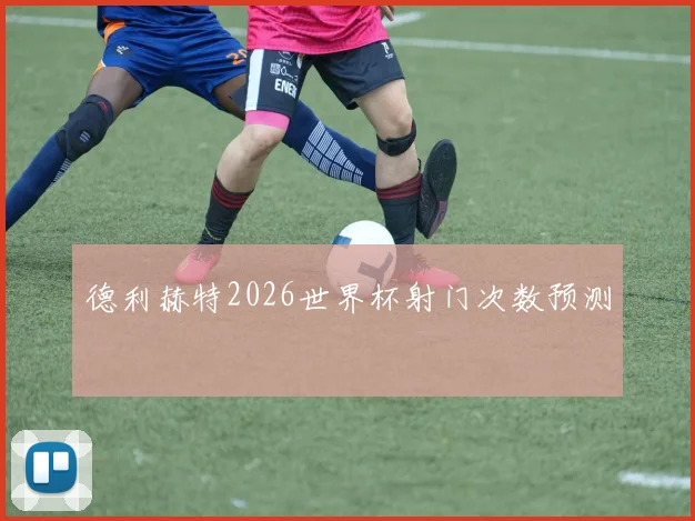 德利赫特2026世界杯射门次数预测