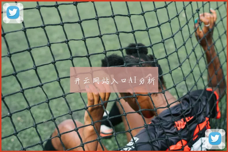 开云网站入口AI分析