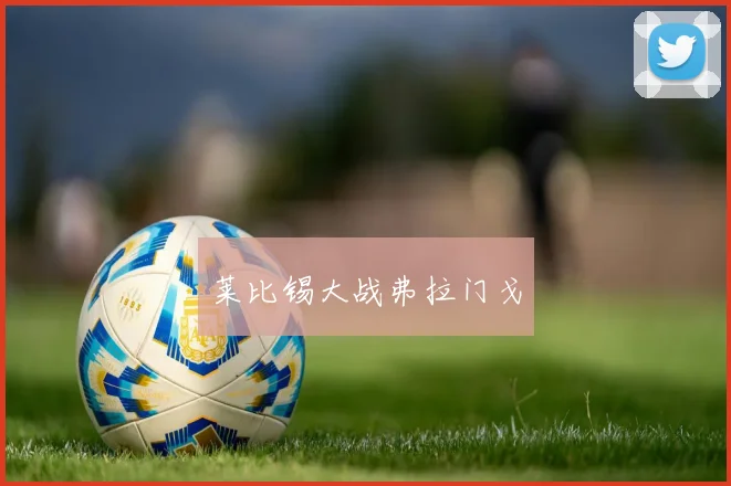 莱比锡大战弗拉门戈