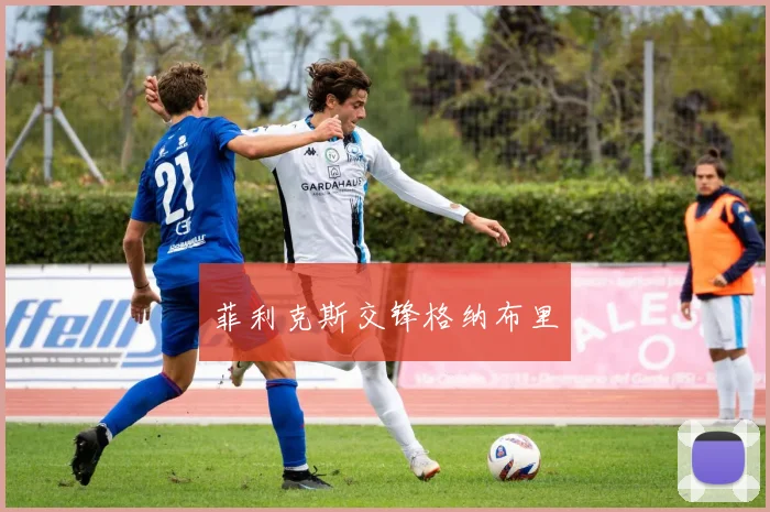 菲利克斯交锋格纳布里