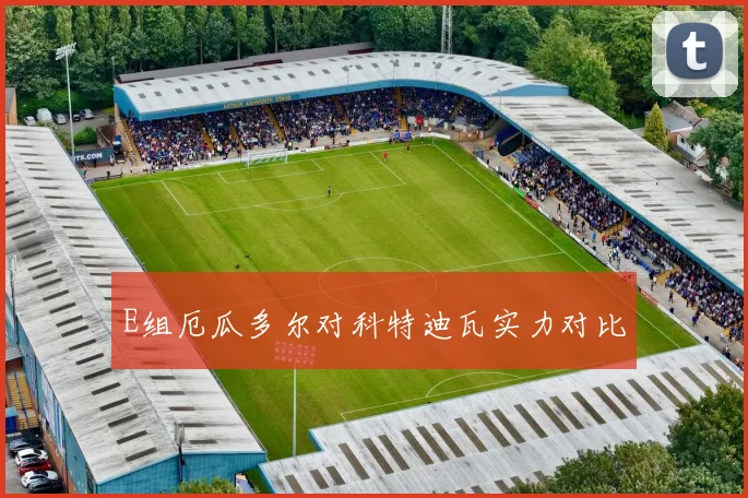E组厄瓜多尔对科特迪瓦实力对比