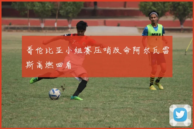 哥伦比亚小组赛压哨改命阿尔瓦雷斯高燃回看