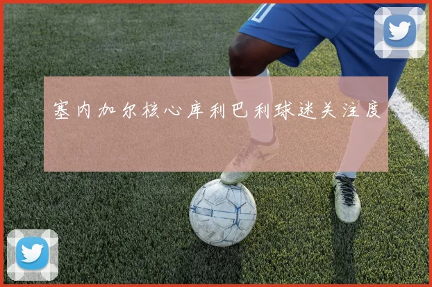塞内加尔核心库利巴利球迷关注度