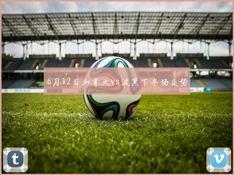 6月12日加拿大vs波黑下半场走势