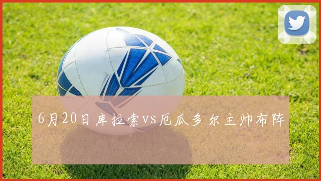 6月20日库拉索vs厄瓜多尔主帅布阵